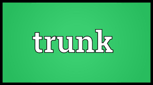 Trunk Meaning Youtube