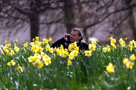 In 2016, spring bank holiday was: May Bank Holiday 2016 Opening Times For Sainsburys Tesco Waitrose Asda And Others Metro News
