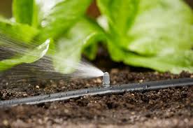 Arrosage goutte a goutte fait maison. Arrosage Automatique Tout Savoir Pour Faire Le Bon Choix Cote Maison