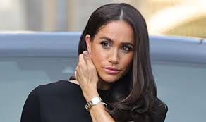 Meghan Markle and Prince Harry 'stray from mission statement at every turn' 