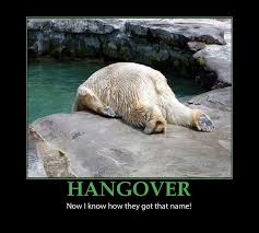 Funny Hangover Quotes And Sayings E Forwards Com Funny Emails Polar Bear Funny Animal Pictures Funny Animals