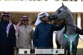 صور مقتطفة من اليوم الثاني من مهرجان الأمير سلطان العالمي 2020 لجمال الخيل العربية In 2020 Horses Arabian Horse Animals