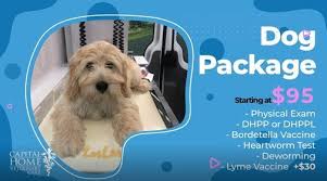 Check spelling or type a new query. Pet Wellness Clinic Every Wednesday Capital Home Veterinary Care Richmond 12 May 2021
