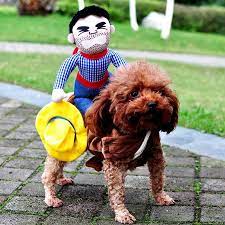A Really Cute And Popular Costume For Dogs And Puppies We Have Them At The Pet Habitat Store Come Ch Cowboy Dog Costume Funny Pet Costumes Dog Costumes Funny