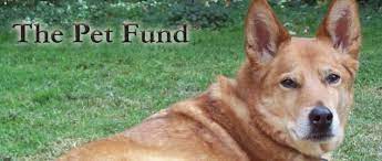 Magic bullet fund provides assistance when a family is unable to pay for treatment and the pet would not be able to have. The Pet Fund Reviews And Ratings Sacramento Ca Donate Volunteer Review Greatnonprofits