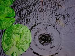 Sunland water gardens pond supply store located near los angeles that carries pond supplies such as pond plants, pond pumps, pond filters and wide variety of aquatic plants. Protect Your Pond S Ph Levels From The Effects Of Acid Rain