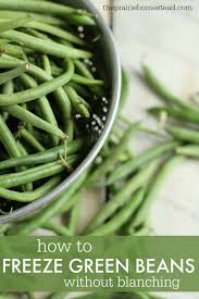 Please check out our page of questions and answers about freezing and canning green beans. How To Freeze Green Beans The Prairie Homestead