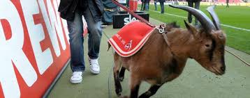 Fc köln scheduled matches that they are going to play in the future. Themenschwerpunkt 1 Fc Koln Themen Tagesspiegel