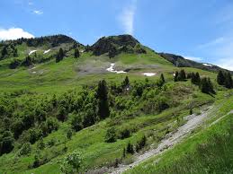 Votre avis de décès créé gratuitement en quelques secondes. Pompes Funebres De Scionzier 74 Services Funeraires A Scionzier