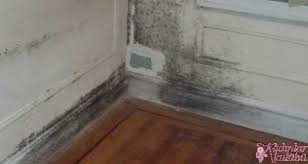 Rutubet önleyici boya yorumları • rutubet önleyici tavan boyası 0 comments. Rutubet Onleyici Boya Kadinlar Kulubu