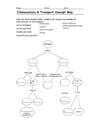 Answer the following questions using your notes and your textbook. Cell Transport Concept Map Lesson Plans Worksheets