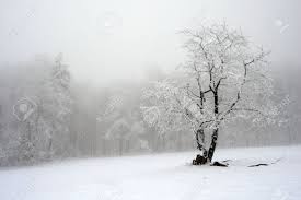 La lune brille vers une fenêtre vide, et cela ne dure qu'un instant. Arbre Solitaire En Hiver Paysage Enneige Avec La Neige Et Le Brouillard La Foret De Brouillard Dans Le Backgroud Banque D Images Et Photos Libres De Droits Image 51632236