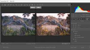 If we talk about the price, the best choice is photography plan in which you get both programs, adobe photoshop and lightroom. In Lightroom And Photoshop Adobe Puts Profiles And Presets Front And Center Extremetech