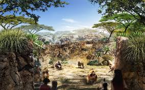 San Diego Zoo Africa Rocks Baboon Perspective By Elm Environments Quince Farm Studio With Miller Hull Partnership Animalier Parc