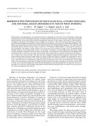 Image result for Pouteria adolfi-friedericii