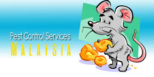 Responsible pest control mesa, az. The 10 Best Options For Pest Control Services In Malaysia 2021