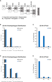 Bayaran bpn 2.0 akan dibuat dalam dua ansuran; Development And Application Of Fasa A Model For Quantifying Fatty Acid Metabolism Using Stable Isotope Labeling Sciencedirect
