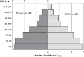 Image result for Aporrhiza paniculata