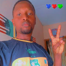 Fédération Nigérienne De Football