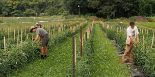 Regenerative Farm Tour