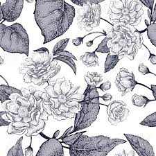 Black and white floral pattern. Black And White Vector Background With Flower Chinese Plum Floral Royalty Free Cliparts Vectors And Stock Illustration Image 60777352