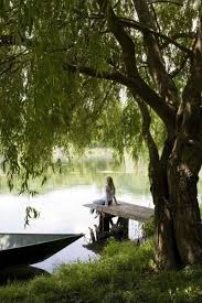 Pin By Jomarwu On A Place For Quiet Lake Pictures Outdoor