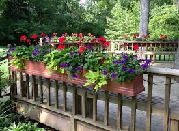There are many flowers and plants grow well in planters, such as geraniums, clematis, petunias. Deck Rail Planters And How They Can Help You To Transform Your Home Beautiful House Design Ideas Deck Planters Railing Planters Deck Railing Planters