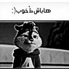 ≈ گفتگوی آزاد نُسخــہ 378 ≈ 