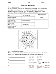 Cancer cells divide more rapidly and spend more time in. Gene Mutation Worksheet Answer Key Fill Online Printable Fillable Blank Pdffiller
