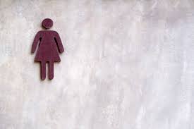 Image result for ledis on toilet
