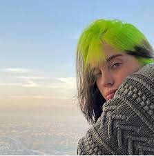 'i'm not letting myself be owned' comments Billie Eilish S Brother Reveals Reason Behind Her Blonde Hair Transformation