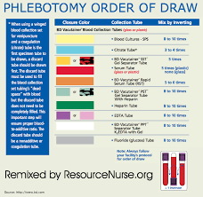 pin by christi perry on just stuff phlebotomy medical