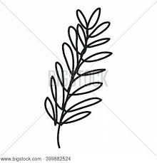 Aesthetic black and white hand drawing. Hand Drawing Vector Vector Photo Free Trial Bigstock