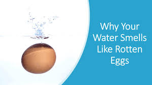 Rotten eggs smell like sulfur, more specifically hydrogen sulfide. Water Smells Like Rotten Eggs How To Remove Smell