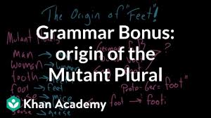 This a longer series about big history and is located in the partner content. Bonus Video Origin Of The Mutant Plural Video Khan Academy