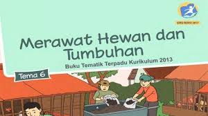 Berikut 10 judul dongeng fabel dan pesan moralnya. Kunci Jawaban Tema 6 Kelas 2 Sd Mi Halaman 16 17 18 19 20 21 22 23 Merawat Hewan Dan Tumbuhan Tribunnews Com