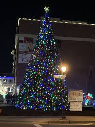 Each colorful bulb on its branches emanate joy and festive cheer. Holiday Events In The Chicago Suburbs Chicago Tribune