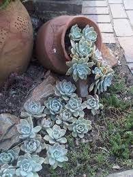 47 Fabulous Succulent Planting Ideas With Diy Tutorials You Must Look At Succulents Garden Projects Flower Pots