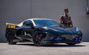 Image result for Tan 2020 Fleet