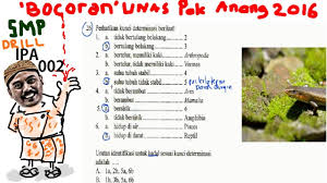 Identifikasi merupakan kegiatan dasar dalam taksonomi. Kunci Determinasi Bocoran Un Smp Ipa 2016 Pak Anang T1 Drill 002 No 26 Youtube