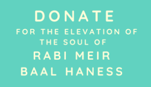 Rabi Meir Baal Hanes Hilula Cabalistic Pesach Sheni King David Kabbalah