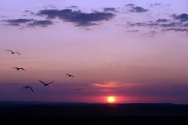 233,883 Ocaso Fotos de stock - Fotos libres de regalías de Dreamstime