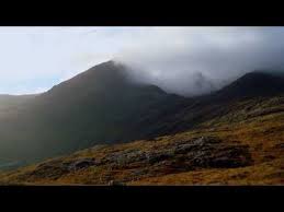 Flower Of Scotland Lyrics O Flower Of Scotland When Will We See Your Like Again That Fought And Died For Your Scottish Music Scotland Scotland Forever