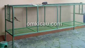 Cara membuat sangkar burung dari hollow baja ringan. Kreasi Kandang Umbaran Murah Meriah Om Kicau