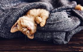 Pin On Cocooning Winter Hygge