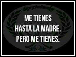 Me Tienes Frases Fuertes Frases Familiares Palabras Fuertes