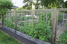 How to plan and design a deer have difficulty leaping high enough from a standing position to clear a 5' tall mesh fence, not gardening pictures can help you plan your garden whether a raised bed, container, or traditional. How To Design A Pest Proof Vegetable Garden Finegardening
