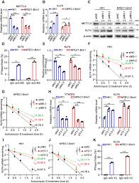 Download >>download soal tpa s2 ui pdf writer read online >>read online soal tpa. Identification Of An N6 Methyladenosine Mediated Positive Feedback Loop That Promotes Epstein Barr Virus Infection Journal Of Biological Chemistry