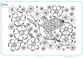 Dibujos De Flores Para Colorear Bonitas Y Faciles De Pintar Entra ahora y escoge una de las siguientes categorias: dibujos de flores para colorear