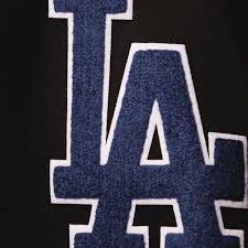 Buy Los Angeles Dodgers Pro Standard Team Logo Pullover Hoodie Black Online In Indonesia 4200432